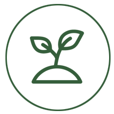 Carbon Offset