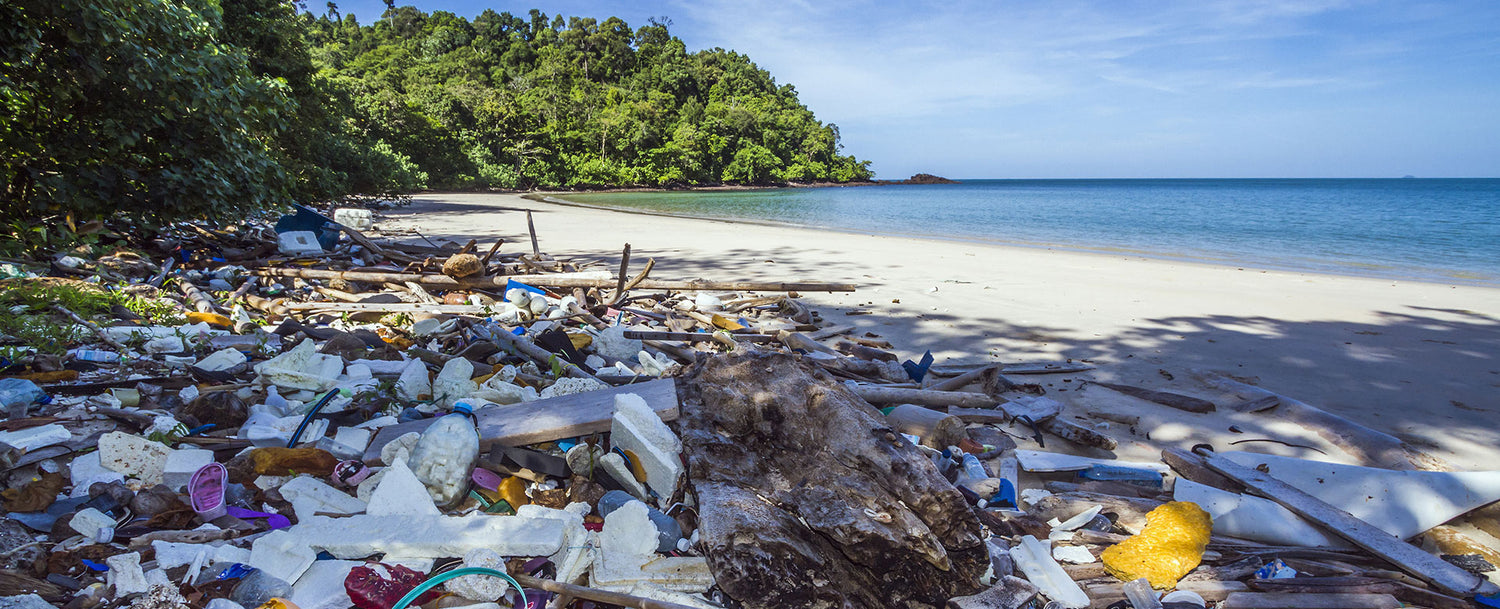 Plastic polluted beach